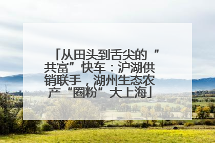 从田头到舌尖的“共富”快车：沪湖供销联手，湖州生态农产“圈粉”大上海
